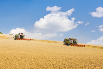 two harvesters during harvest on sunny day