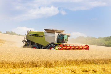 modern harvester during harvest of wheat on sunny day