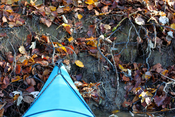 Yellow and brown autumn leaves on the shore on the banks of the Danube river. View from the bow of blue kayak. Kayaking on peaceful calm lake or river in calm autumn day