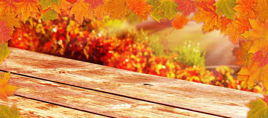 Wooden table with colorful autumn leaves in the vineyard as background