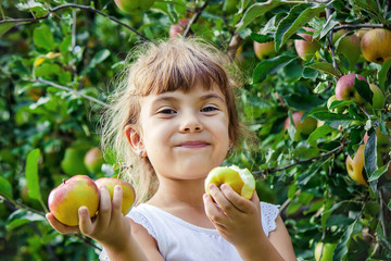 Child with an apple. Selective focus. Garden.