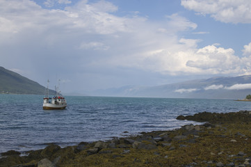 Norwegian fishing, fjord