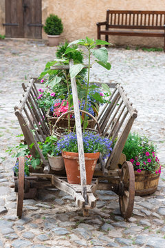 Beautiful floral decoration in the ancient medieval castle of Grabstejn in the Czech Republic in a small picturesque town. Roses, lavender, geranium, greens in the mountains. 