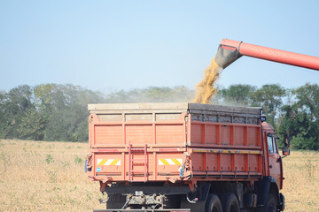 Fototapeta premium machine grain