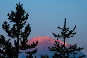 Glowing Lassen Peak with Shadows of Pine Trees Before Sunset in Lassen Volcanic National Park, California