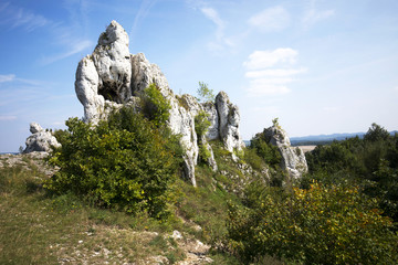 Malownicze skały wapienne w sąsiedztwie zamku w Ogrodzieńcu - obrazy, fototapety, plakaty