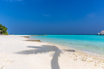 Palm tree shade in a white sand beach, perfect paradise destination in Maldives. Blue sky day, summer feeling.