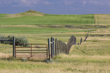 Fototapeta na wymiar Farmland of North Dakota