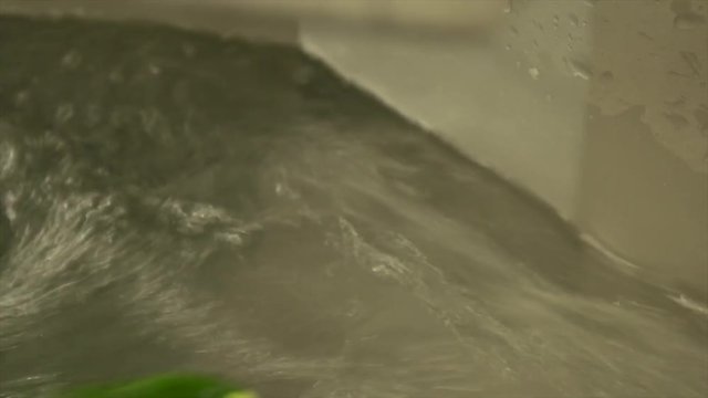 Gurke waschen und s&auml;ubern f&uuml;r Verzehr