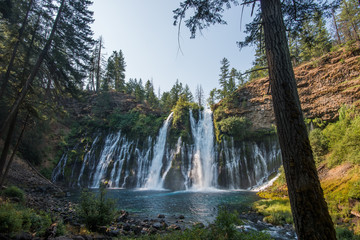 Fototapeta premium Trees and Flowing Water of Burney Falls in McArthur-Burney Falls Memorial State Park, California