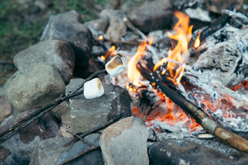marshmallows at sticks. camping fire on background