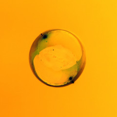 Soap bubbles on a golden background