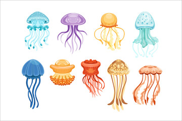 Obraz premium Kolorowy zestaw meduzy, pływające morskie stworzenia wodne ilustracje wektorowe