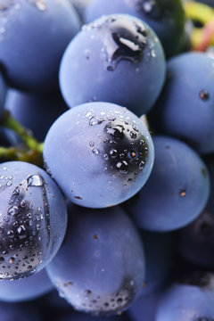 Grapes in drops of water
