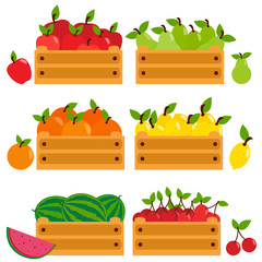 Fruits in wooden crates. Apples, pears, lemons, cherries, oranges and watermelons. Vector illustration