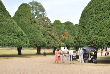 Mushroom Trees in Hampton Court