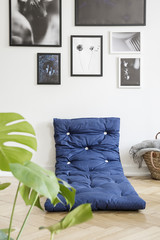 Plant and blue mattress on the floor in white bedroom interior with gallery of posters. Real photo