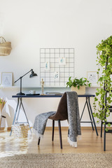 Chair with blanket at desk with lamp and plants in white freelancer's interior with carpet. Real photo