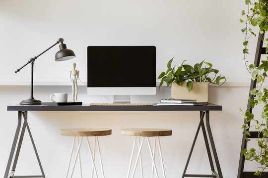 Wooden stools at desk with lamp, desktop computer and plant in white workspace interior. Real photo