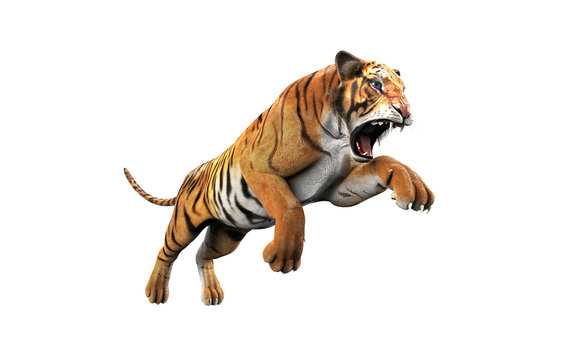 Fototapeta Dangerous Bengal Tiger Roaring and Jumping Isolated on White Background, with Clipping Path, 3d Illustration.