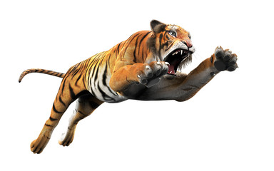 Dangerous Bengal Tiger Roaring and Jumping Isolated on White Background, with Clipping Path, 3d Illustration.