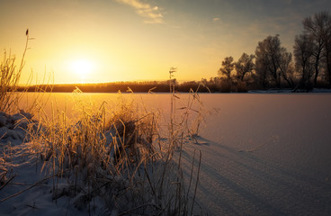 Beautiful winter landscape. The branches of the trees are covered with hoarfrost. Foggy morning sunrise. Colorful evening, bright sunshine over a river or lake.