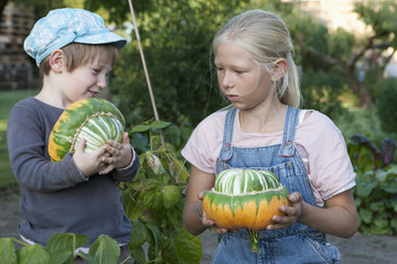 Girls harvesting gourds in garden