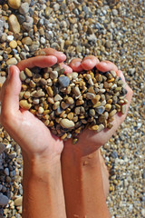 a handful of sea pebbles in women's hands