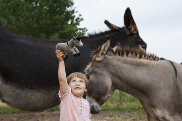 Cute girl with donkeys holding stuffed donkey