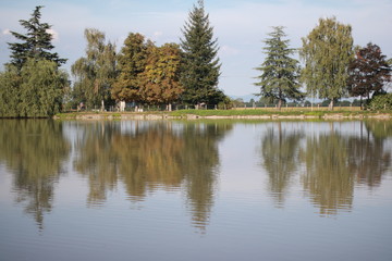 Fototapeta na wymiar Alberi sul lago