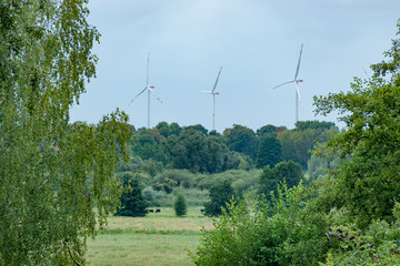 Windkrafträder in der Natur