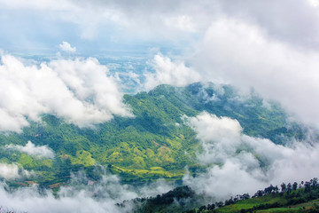 Fog and cloud mountain valley spring landscape.Forested mountain slope in low lying cloud with the evergreen conifers shrouded in mist in a scenic landscape view.