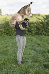 Man holding goat on farm