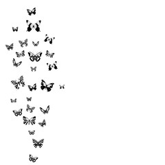 white background with a flying silhouette of butterflies