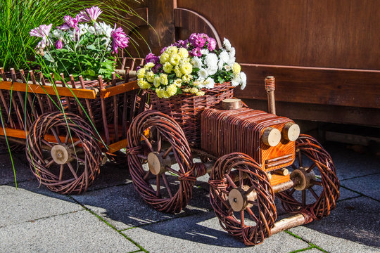 Wundersch&ouml;ne Chrysanthemen