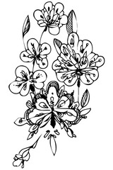 vector image beautiful abstract floral background