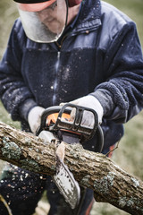 Working lumberjack with his chain saw