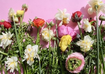 Obraz na płótnie Canvas Spring Flowers in Full Bloom in Spring