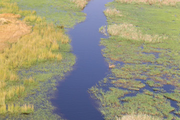Okavango Delta, Botswana