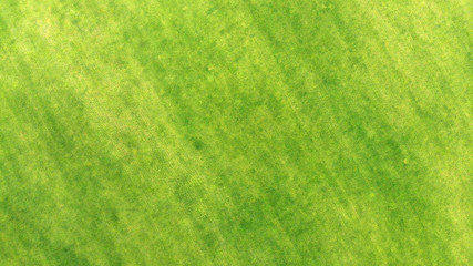 Fototapeta na wymiar Aerial. View above of a green grass texture background.
