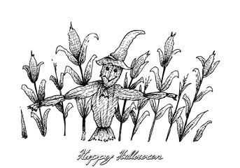Holidays And Celebrations, Illustration Hand Drawn Sketch of Scarecrow in Corn Field Isolated on White Background. Sign For Halloween Festival.