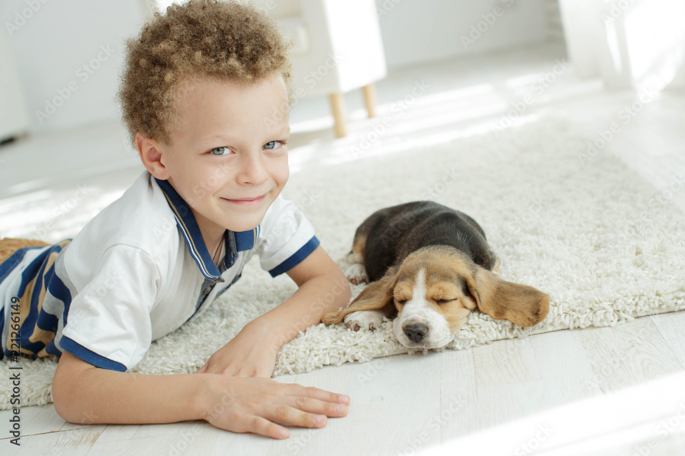 Wall mural child with a dog