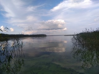 Landscape With Water, Trees And The Sky
