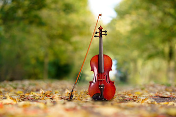 Geige im Park im Herbst