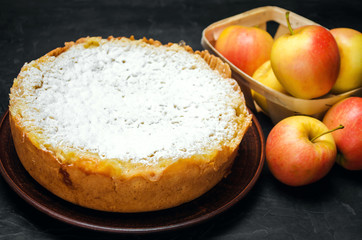 Traditional apple pie with vanilla custard. Polish Charlotte. a favourite British dessert. homemade...