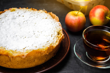 Traditional apple pie with vanilla custard. Polish Charlotte. a favourite British dessert. homemade pastries for tea. autumn dessert. shortbread dough