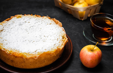 Traditional apple pie with vanilla custard. Polish Charlotte. a favourite British dessert. homemade pastries for tea. autumn dessert. shortbread dough