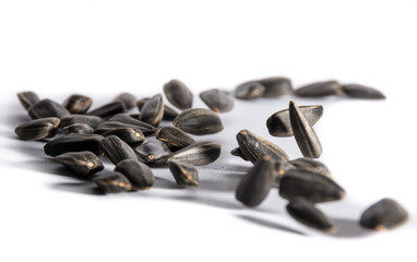 Sunflower seeds of black flowers jumping to music