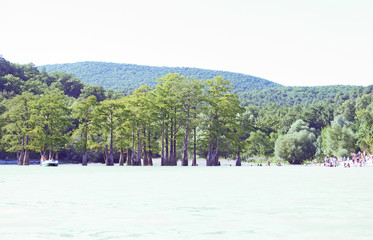 Sukko Lake. Krasnodar region. Russia. View of the unique cypresses and wooded slopes of the mountains.