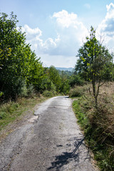 Fototapeta na wymiar Feldweg im Wald